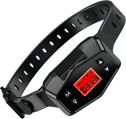 Picture of gps dog collar fence system