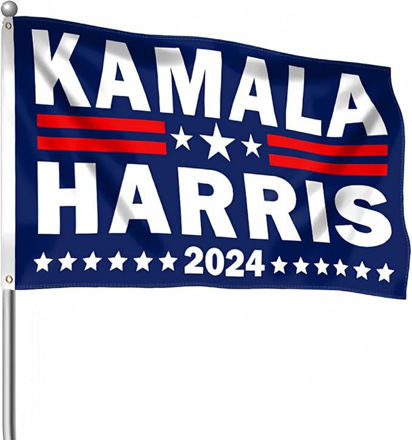 Picture of vegolas kamala harris 2024 flag