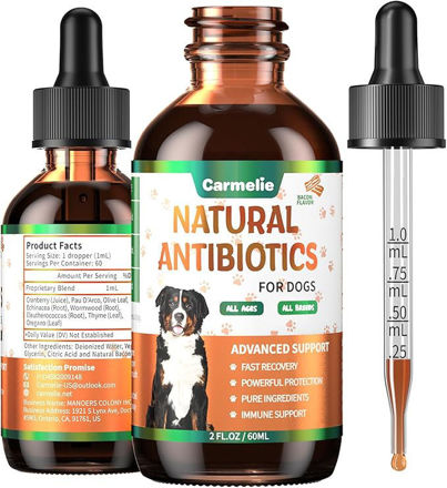 Picture of Natural Antibiotics Dogs Infection Multivitamin