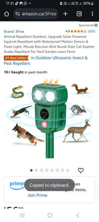 Picture of Repellent Outdoor Squirrel Waterproof