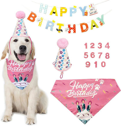 Picture of ADOGGYGO Birthday Supplies Numbers Bandana