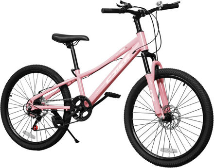 Picture of Mountain Suspension Dual Disc Anti Slip