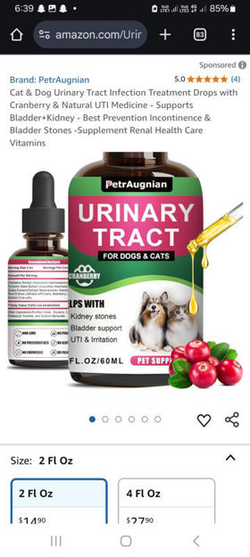 Picture of Urinary Infection Treatment Cranberry Medicine