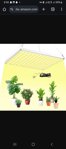 Picture of CUPAN Spectrum Hydroponic Greenhouse Succulents