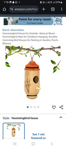 Picture of Hummingbird Outside Natural Outdoors Hanging