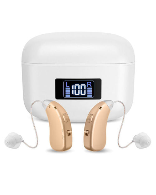 Picture of Amplifier Rechargeable Reduction Materials Discreet