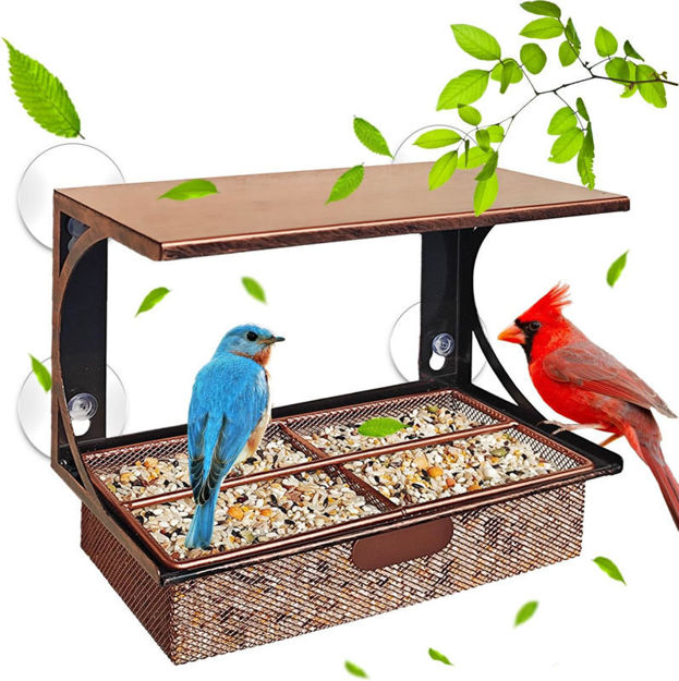 Picture of Window Suction Feeders Outdoors Birdwatching