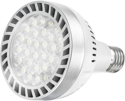 Picture of Daylight Swimming Replacement Fixtures