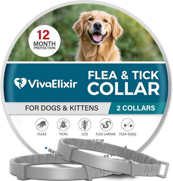 Picture of Flea Tick Collar Dogs Long Lasting