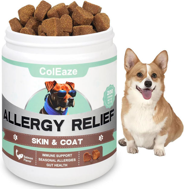 Picture of Allergy Supplement Seasonal Allergies