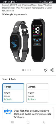 Picture of Dog Training Collar