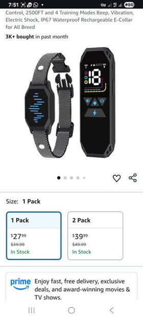 Picture of Dog Training Collar