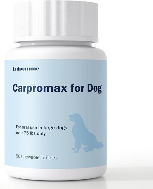 Picture of Carpromax Large Relief Support Senior