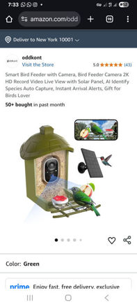 Picture of oddkont Identify Species Capture Instant